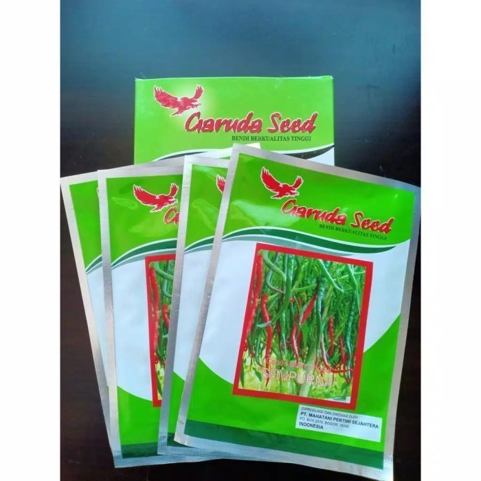 SALE BENIH CABE KERITING SEMPURNA LOKAL