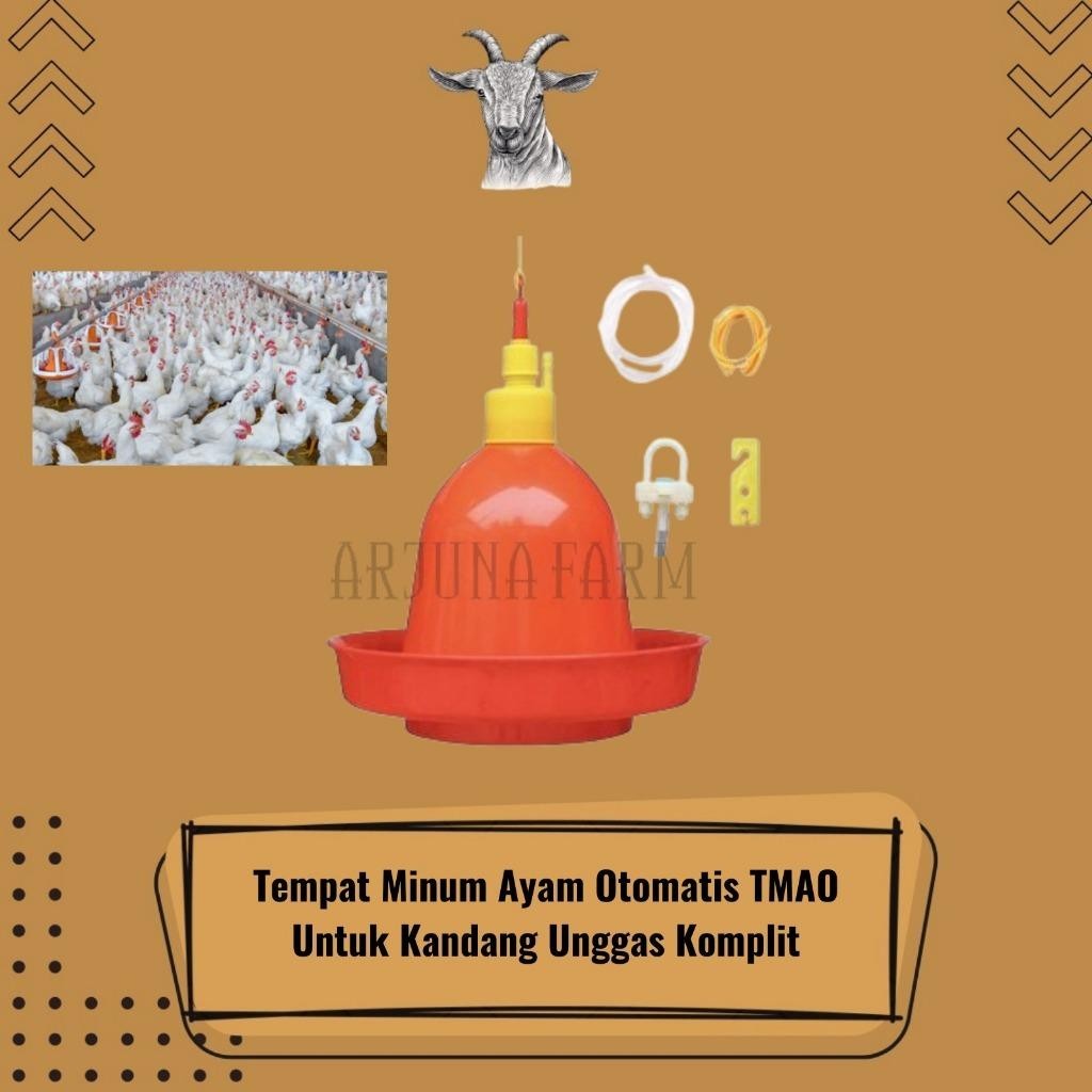 Tempat Minum Ayam Otomatis TMAO Kandang Ayam Pedaging Ras Broiler Farm