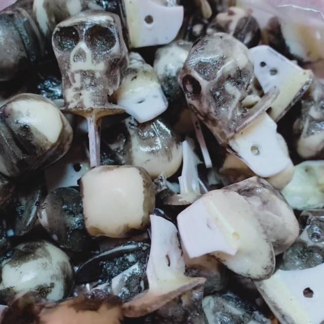 2bh sawangan tengkorak sawang burung merpati mungil nyaring Lampam ID