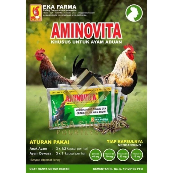 2 bks AMINOVITA VITAMIN DOPING TENAGA AYAM TARUNG 20CAPSUL OBAT OTOT TULANG ASLI ORI EKA FARMA Lampa