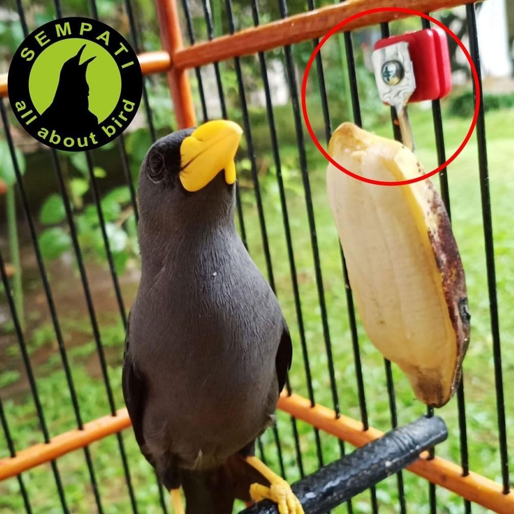 Sempati Grosir Gantungan Buah Kawat Sempati Per Pack Lusin Isi 50 Pcs Cantolan Pisang Sayur Ef Jagun