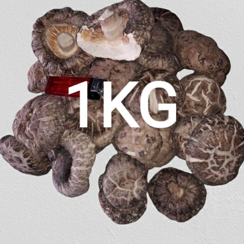Jamur Shitake / Jamur Hioko Kering 1KG (PREMIUM GRADE)