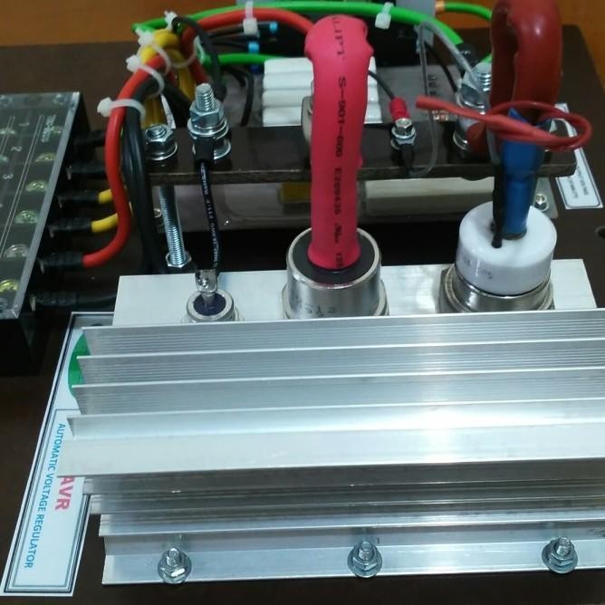 Avr Genset Atau Generator Carbon Brush 200A