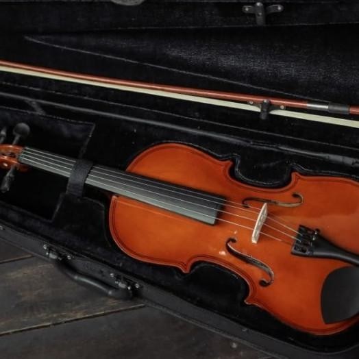 Biola Vienna Full Set Hardcase / Biola Akustik