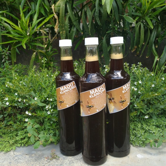 

Madu Klanceng Madu Trigona Murni 100% 460 ml