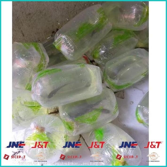 BISMILLAH [PRODUK HLSMF] (COD) IKAN CHANNA 9-10 CM MARU YELLOW CENTARUM (RED EYE) YS. HBD ALISUP