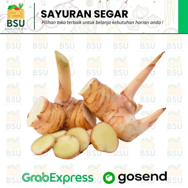 

Sayuran Segar Bandung - Lengkuas 1 Pax