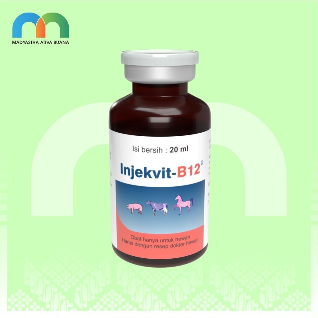 Inj Vit B12 Btl 20 Ml Medion Multivitamin Hewan Besar