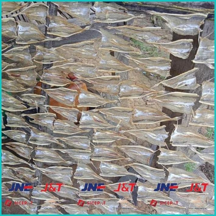 

BISMILLAH IKAN ASIN TIPIS TARAKAN 1KG TERMURAH ALISUP
