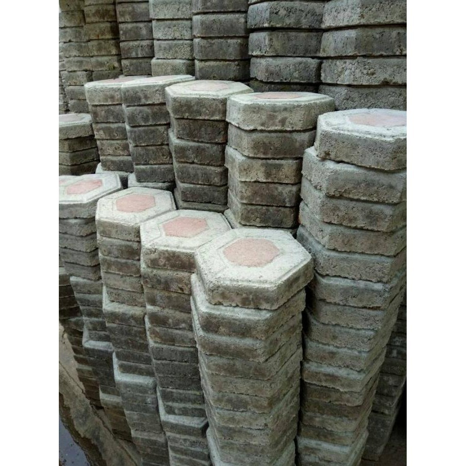 paving block segi 6 BRS