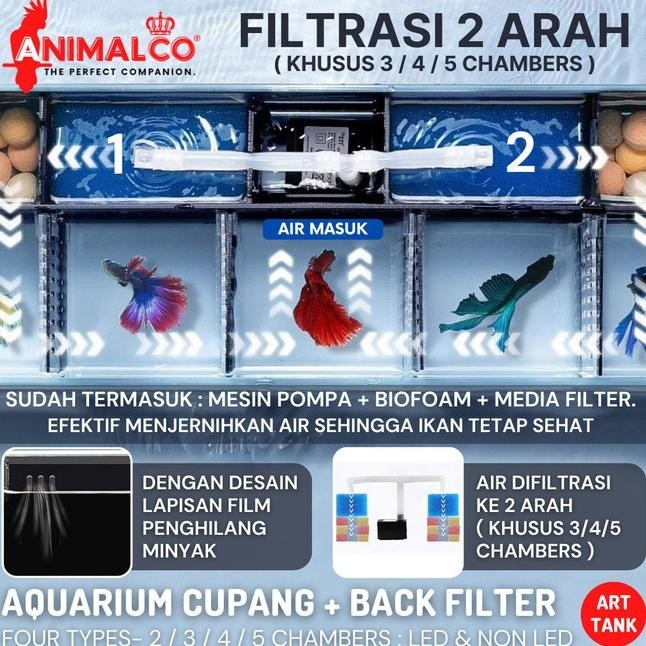 Soliter Aquarium Kaca Tempat Cupang + Filter Ikan Mini Sekat Set Akuarium Betta Guppy Molly