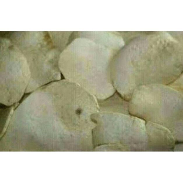 

TC21 Krupuk GADUNG MENTAH original 1 kilo gram Viral