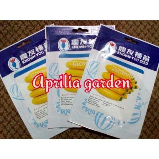 (10Gram) Benih Zucchini Kuning/Zucchini Glowing F1 Hybrid