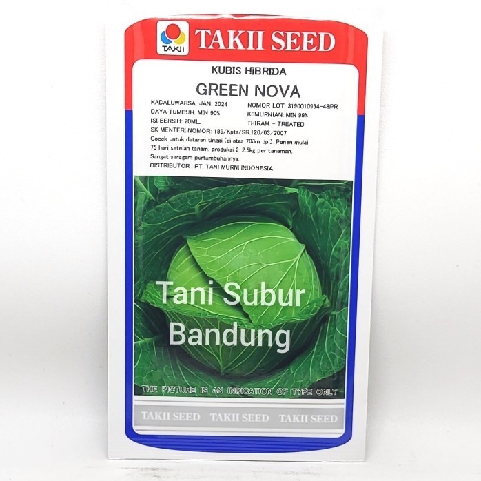 Benih Kubis / Kol Hibrida Green Nova Takii