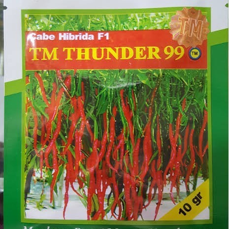Benih Cabe Keriting Tm Thunder 99