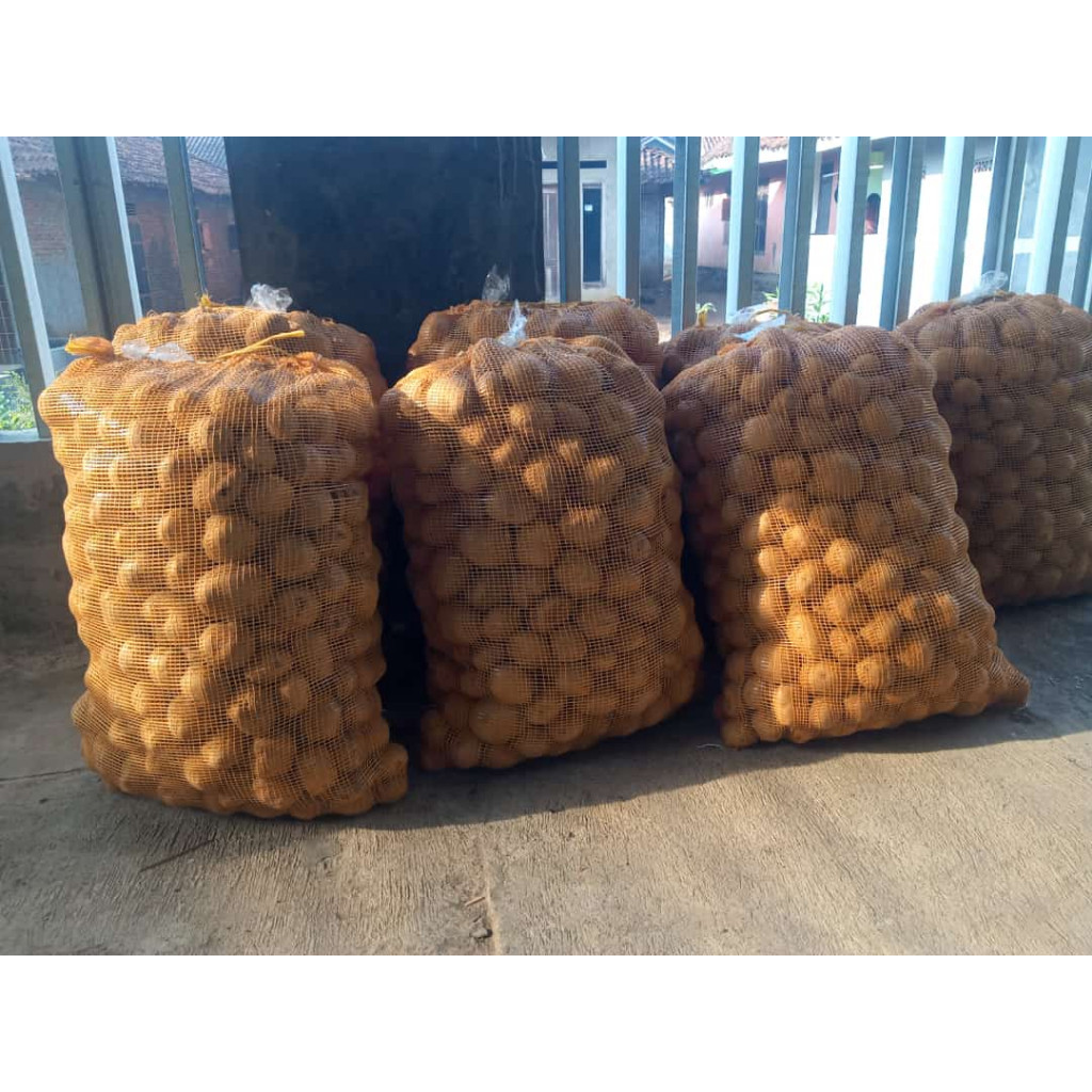 

KERIPIK KENTANG BALADO 1 KILO,GARING/FRES/KRIUK KRIUK/TAMPA BAHAN PENGWET MAKAN