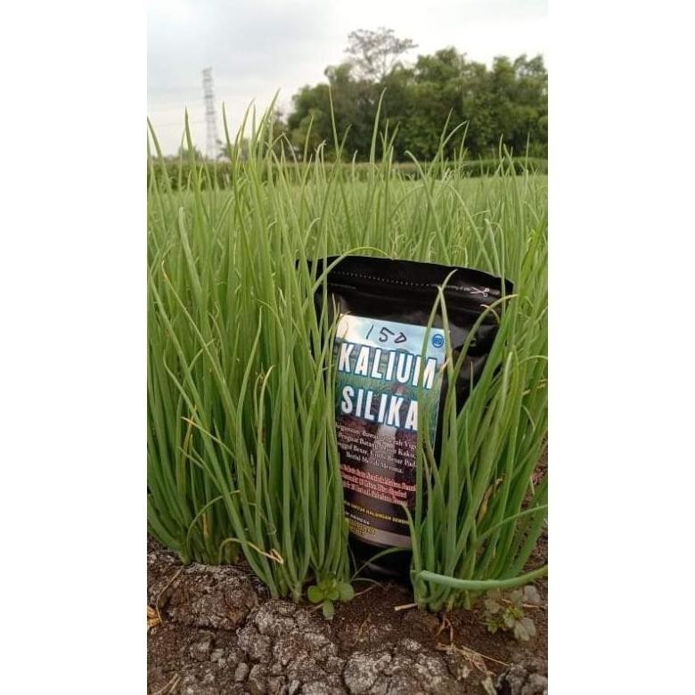 Promo Spesial Kalium Silika Murni Irit: 33 Tank, Lindungi Dr Hujan Hama Cuaca Buruk, Besar Merah Bob