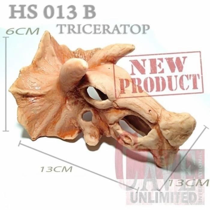 SALE HIDING SKULL FOSIL TRICERATOPS HIASAN KANDANG TERRARIUM REPTIL HS009
