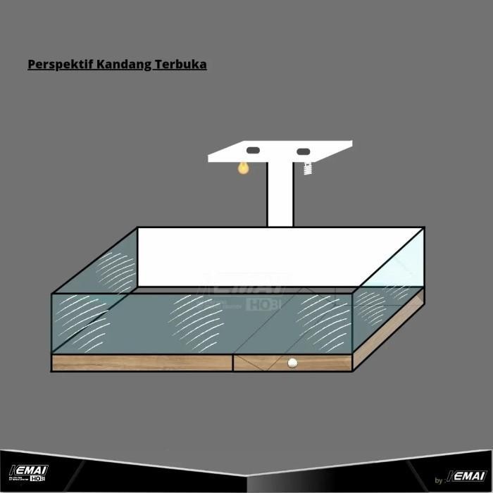 PROMO TERRARIUM REPTIL CUSTOM