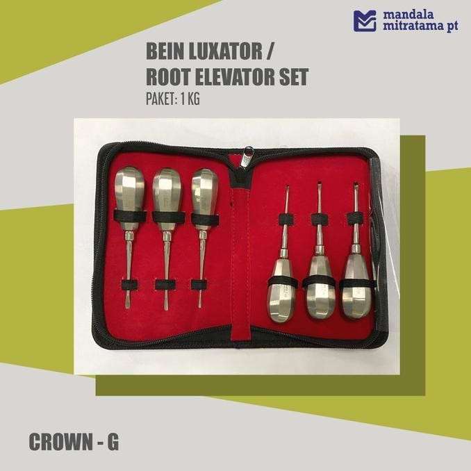 Dental Bein Luxator/Root Elevator Set - Crown-G