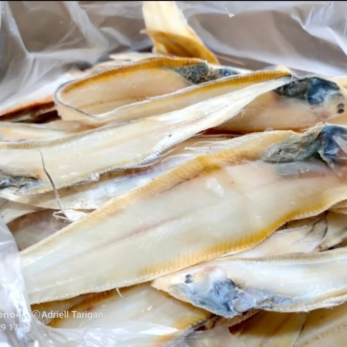 

Ikan Asin Lidah Medan 1kg A9