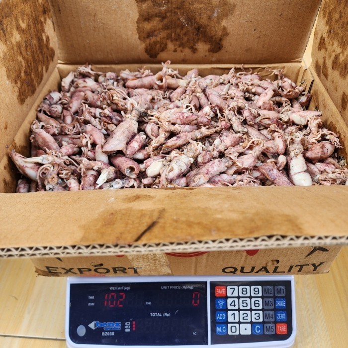 

Ikan asin cumi bk spr 1 dus 10kg/10.000gram A9