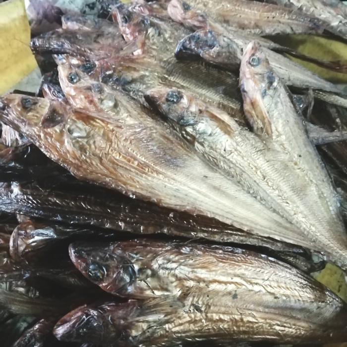 

IKAN ASAP SELAIS/IKAN SALAI SELAIS MURAH BERKUALITAS 200 GRAM A9