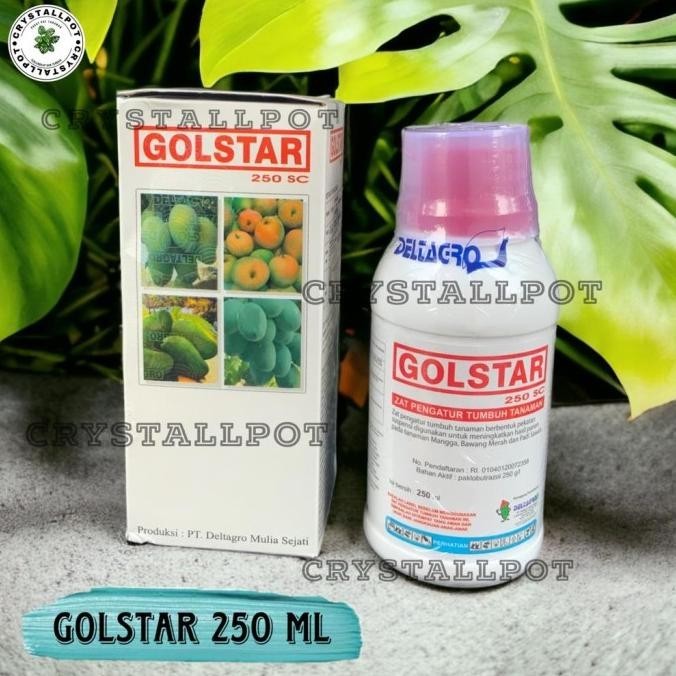 pupuk hormon ZPT GOLDSTAR 250 ml - mempercepat pembuahan