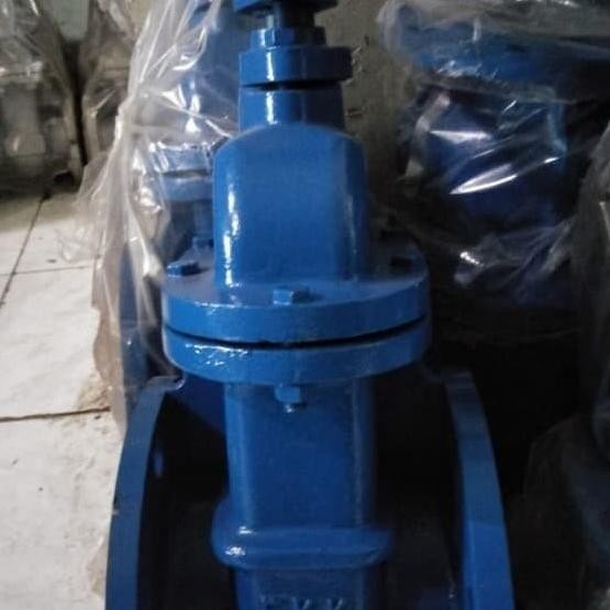 3 Inch Gate Valve Cast Iron Jis10K