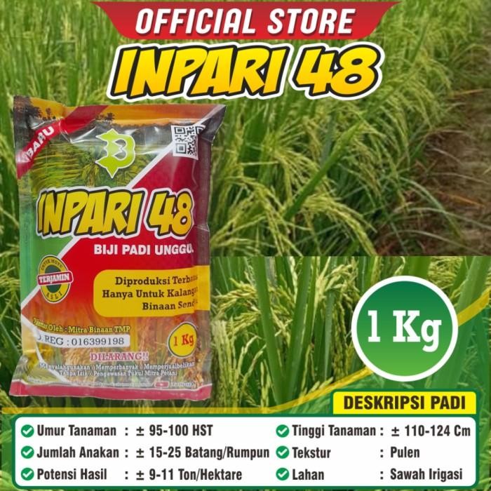 

Biji Padi Inpari 48 Kualitas Super / Original / Kemasan 1 Kilogram Kualitas Terbaik