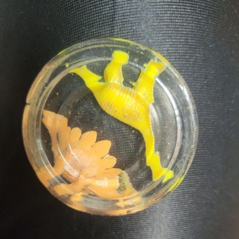 

An85 Resin Bening 500 Gram + katalis 25 Gram Murah