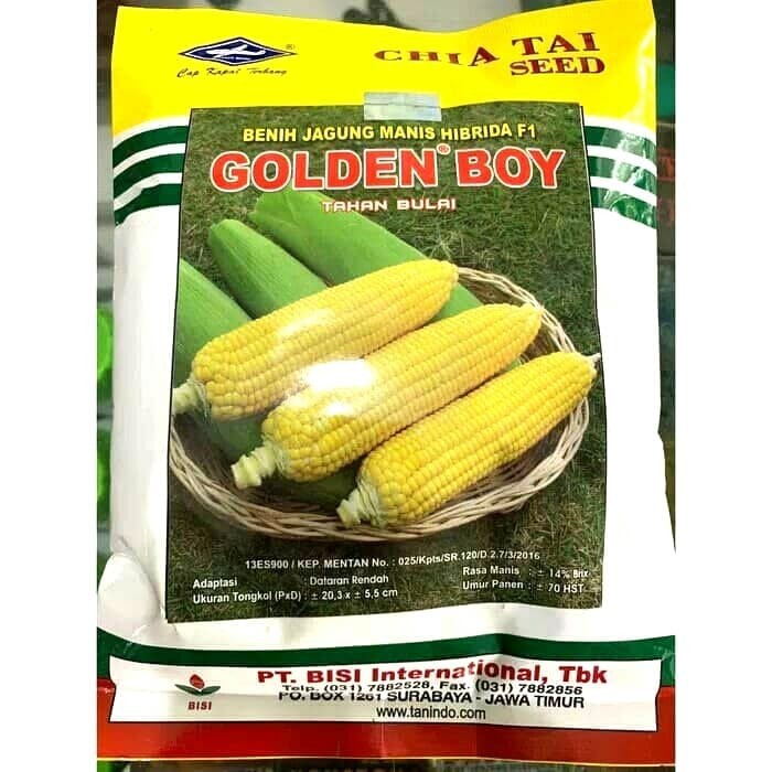 BENIH JAGUNG MANIS GOLDEN BOY 500GR