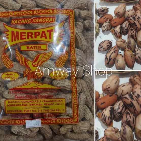 

Merpati Kacang Batik Kawangkoan Besar 800Gr Khas Manado