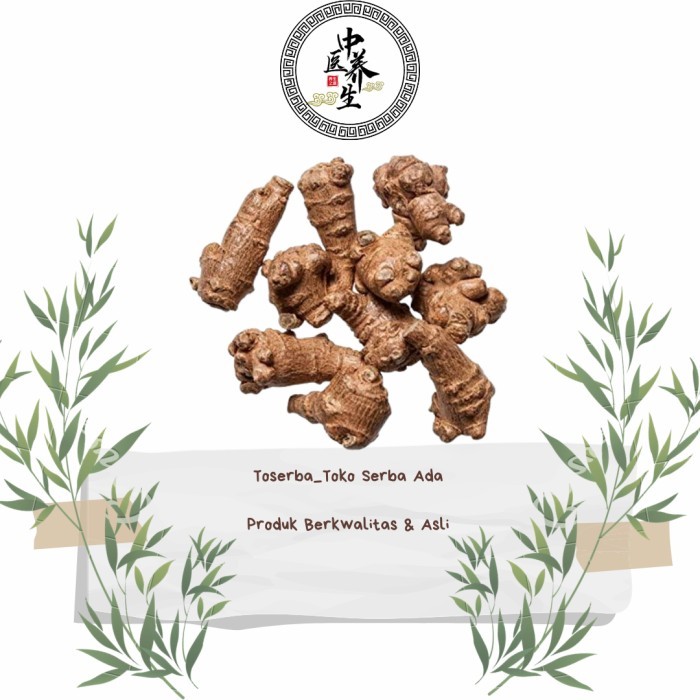 

300gr Herbal Tian Qi San Qi Panax NotoGinseng Premium Grade