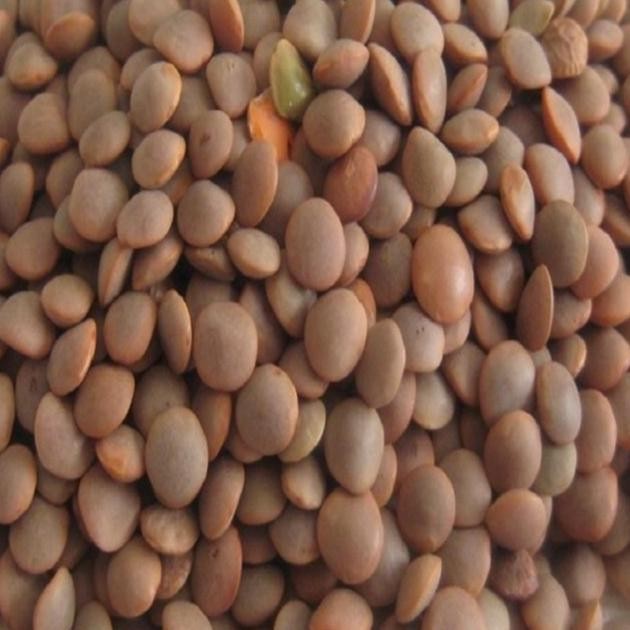 

!!!!!!] Kacang Sabut Masoor Dal 1kg / Lentil / Masoor Dal dengan KUlit