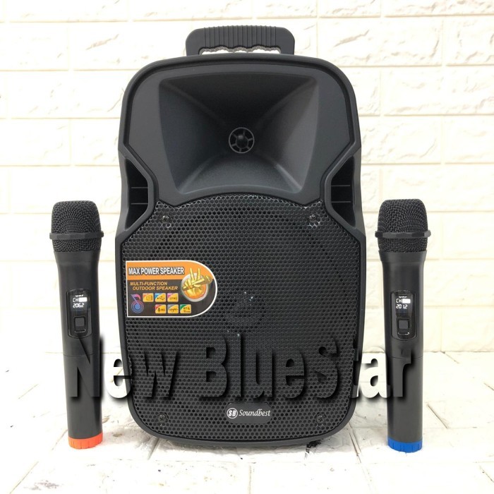 Speaker Portable Amplifier Wireless N AIWA WAS 108 LVE - 8 inch