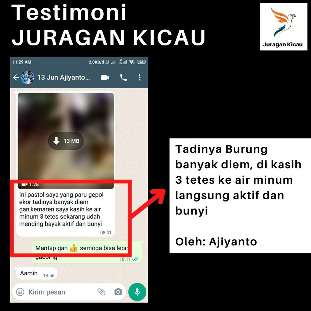 TERLARIS Juragan Kicau - Doping Obat Vitamin Burung Gacor Lomba Lovebird Ngekek Panjang Konslet Figh