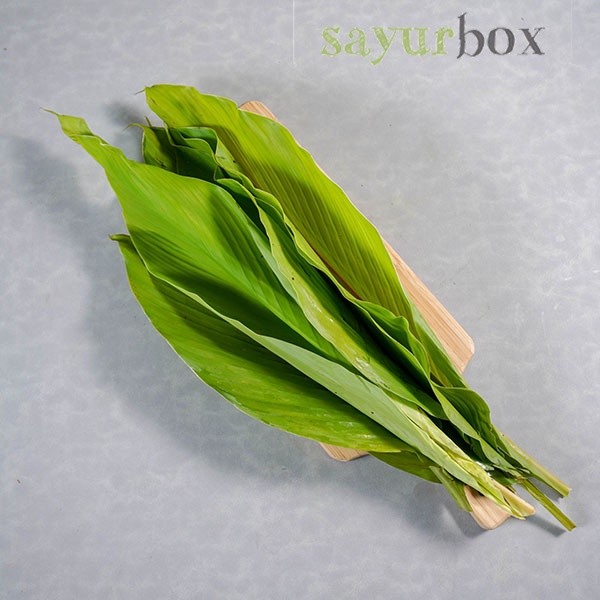 

Daun Kunyit Konvensional 100 gram Sayurbox