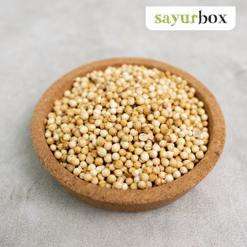 

Biji Ketumbar Konvensional 20 gram Sayurbox