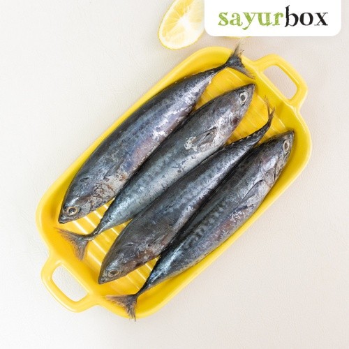 

Golden Seafood Ikan Tongkol 500 gram Sayurbox