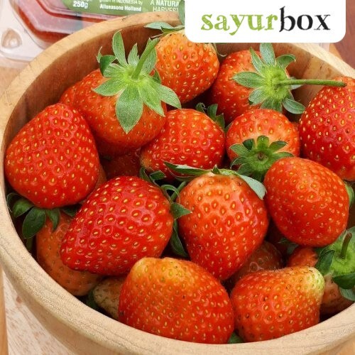 

Strawberry Sweetheart Hidroponik Hidroponik 250 gram Sayurbox