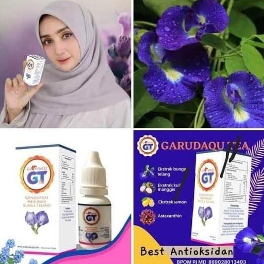 

NEW PRODUK GT GARUDAQU TEH BIRU BUNGA TELANG ASLI 100% !!!!!