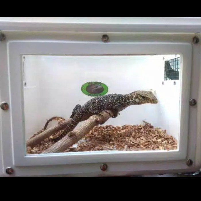Kandang Reptil Kadal Ular Kecil