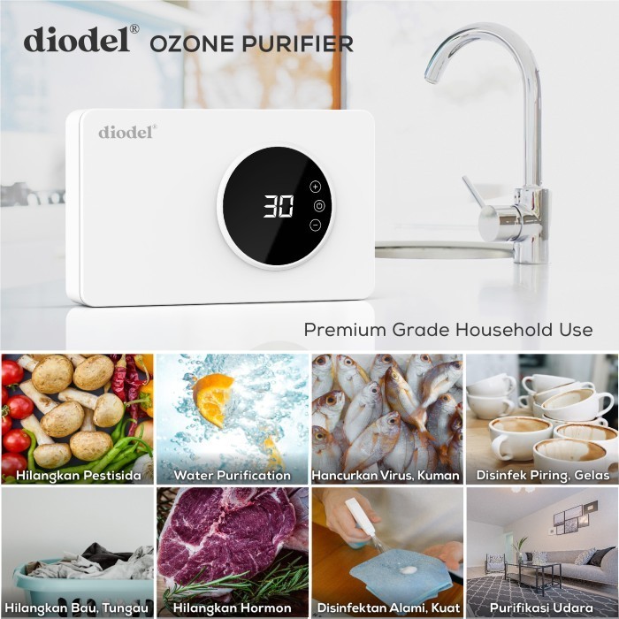 Sale Diodel Ozone Purifier / Ozone Sterilizer / Ozone Generator