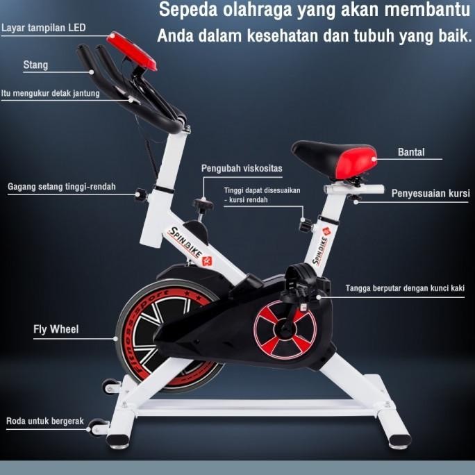 B&G Sport Alat Peralatan Olahraga Spin Bike S303(White)
