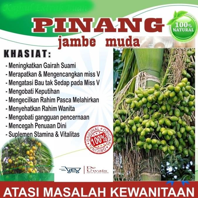 

Jambe Pinang Muda Bubuk Langsung Seduh/Bahan Jamu Herbal Kejantanan
