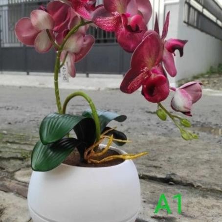 Anggrek Latex#Bunga Anggrek#Anggrek Plastik#Bunga Anggrek Hias