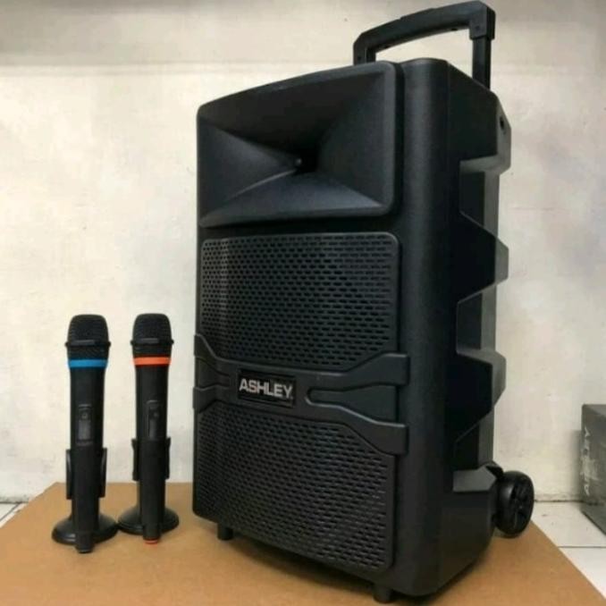 Speaker Portable Wireless Meeting Ashley Rq12