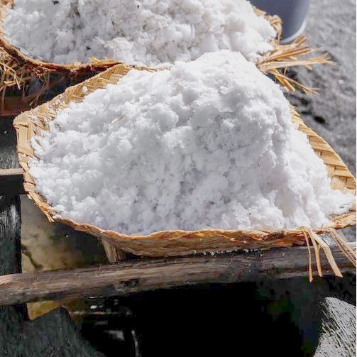 

Garam Kusamba Plus - Adelineez