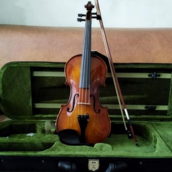 Biola Full Solid Merk Peganini Pva40 Best Product